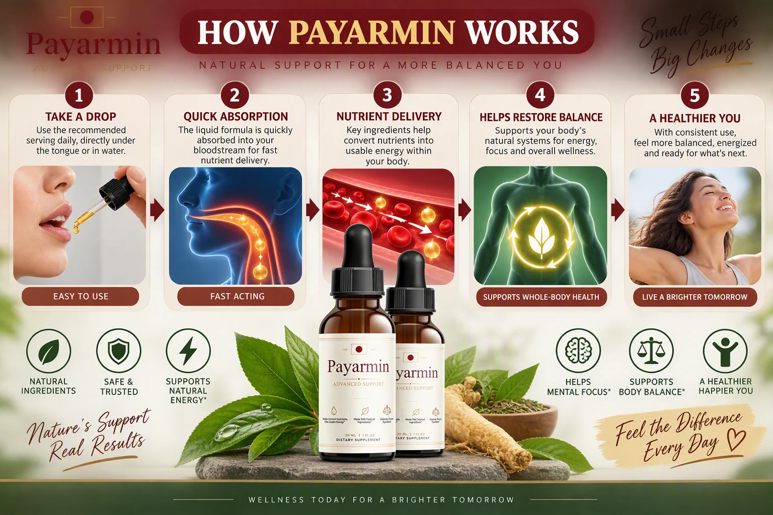 How Payarmin works — take a drop, quick absorption, nutrient delivery, helps restore balance, a healthier you